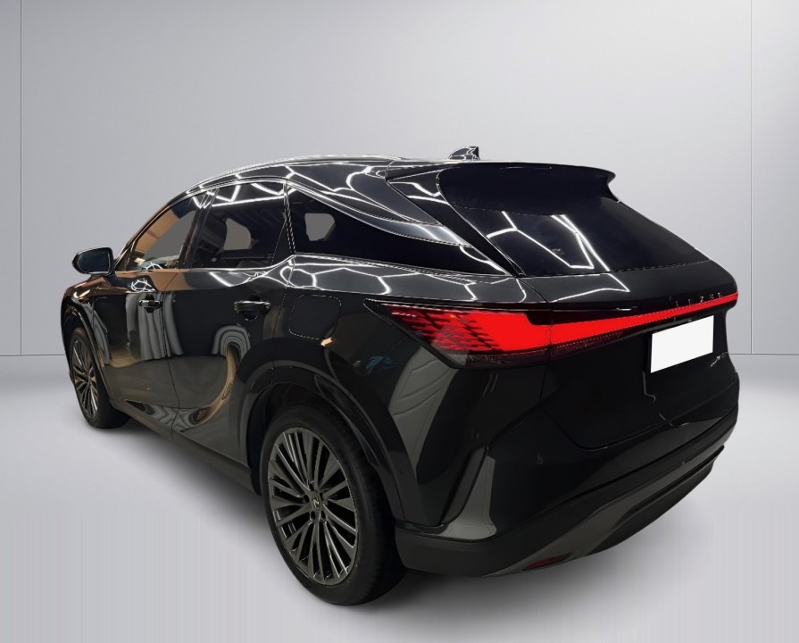 Lexus RX 450h+ Luxury (5)