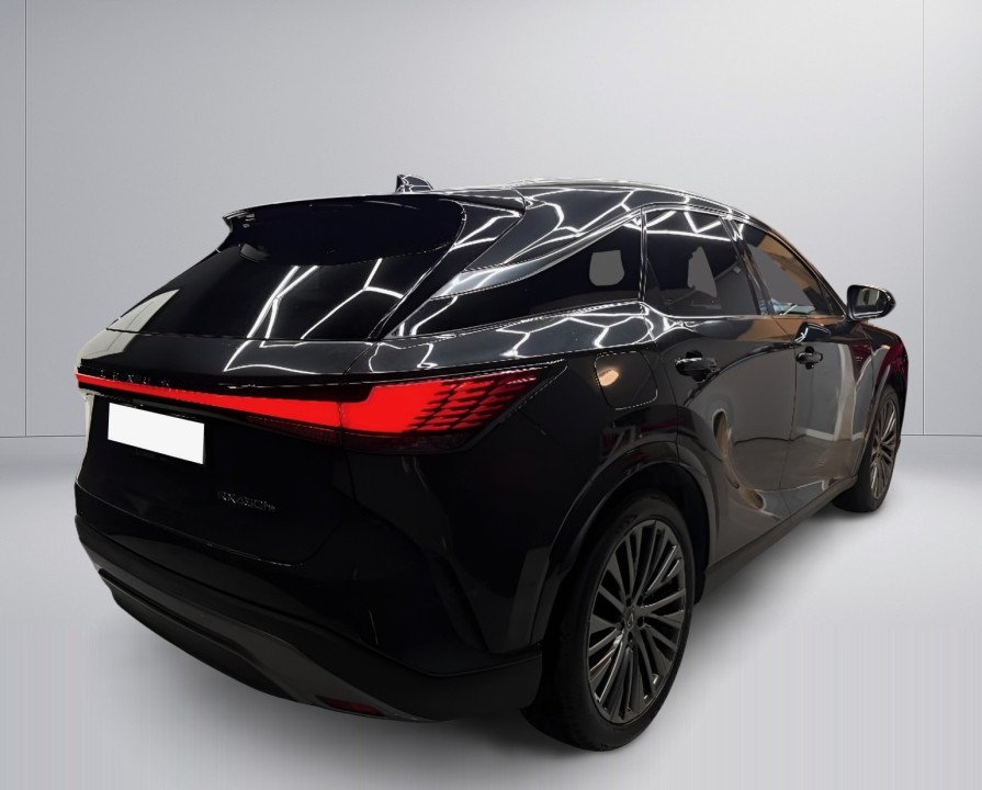Lexus RX 450h+ Luxury (3)