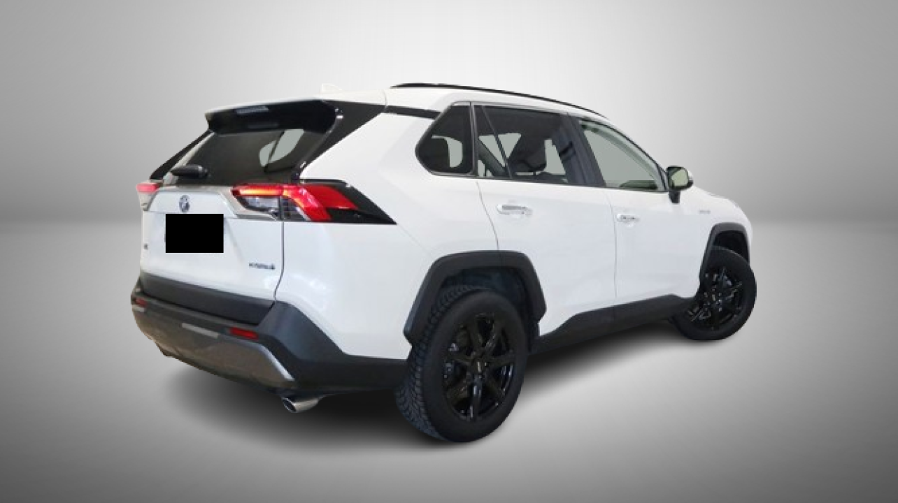 Toyota RAV4 Hybrid 4x4 Lounge (2)