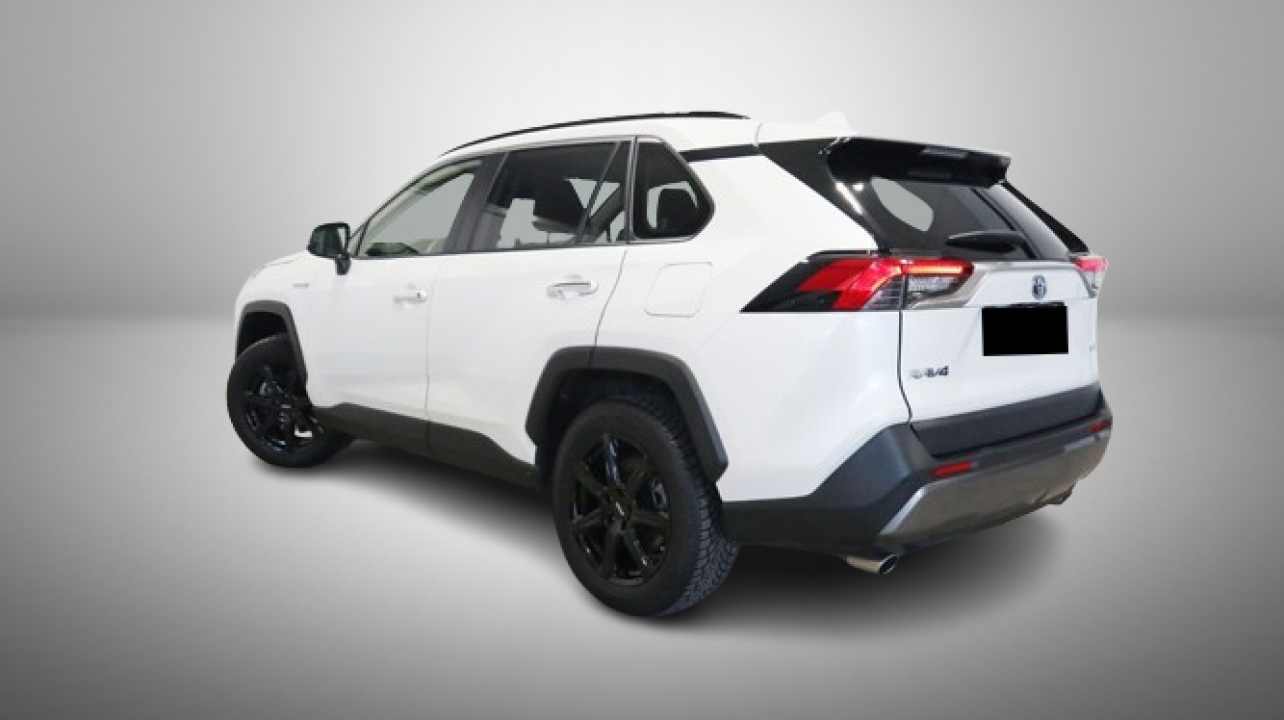 Toyota RAV4 Hybrid 4x4 Lounge (4)