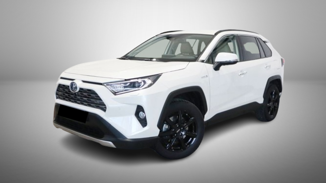 Toyota RAV4 Hybrid 4x4 Lounge (5)