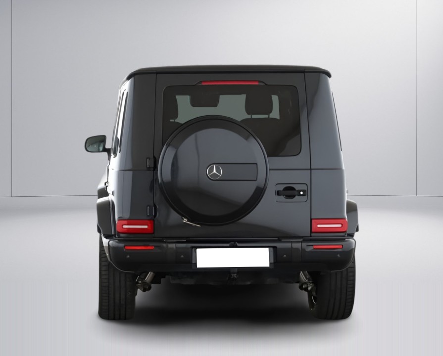 Mercedes-Benz G 450d (4)