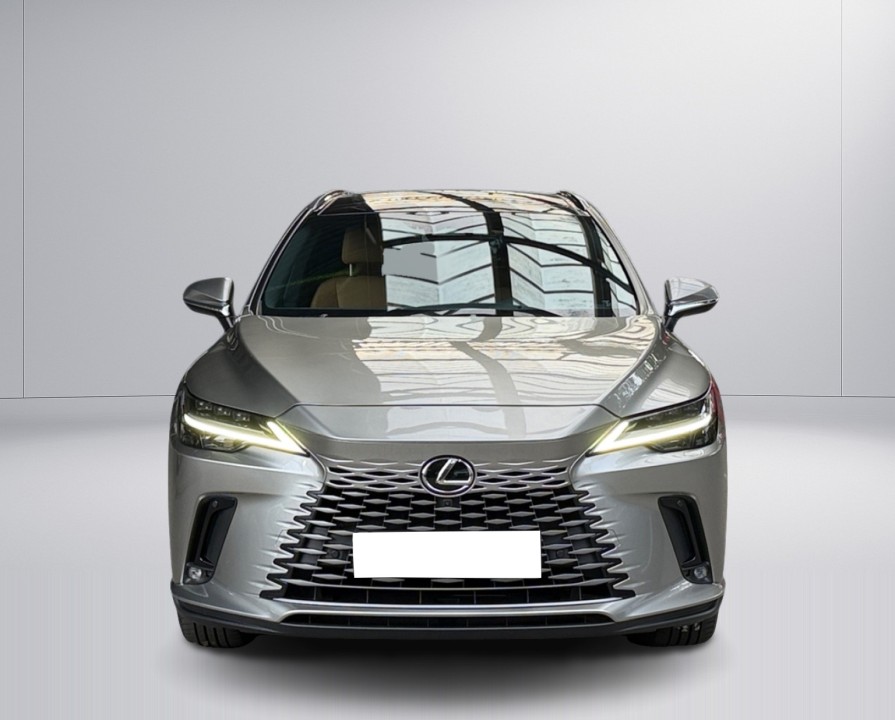 Lexus Seria RX 450h+ Executive Line - foto 8
