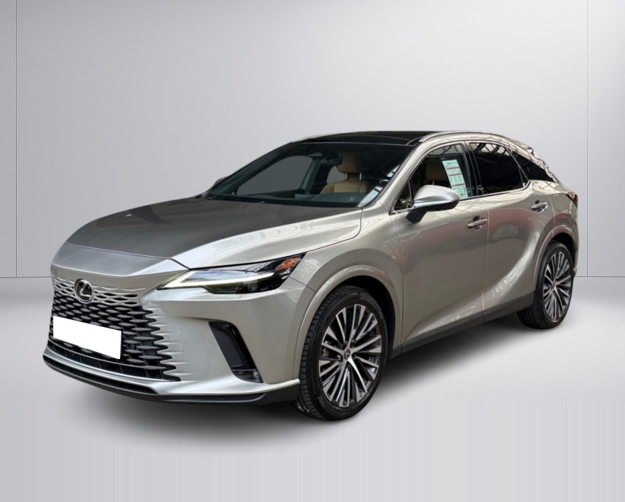 Lexus Seria RX 450h+ Executive Line - foto 7
