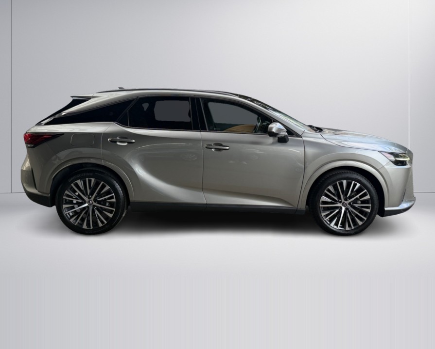 Lexus Seria RX 450h+ Executive Line (2)