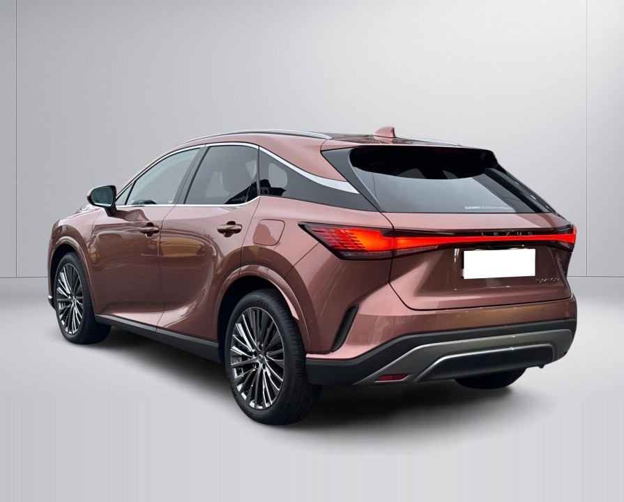 Lexus Seria RX 450h+ Omotenashi (5)