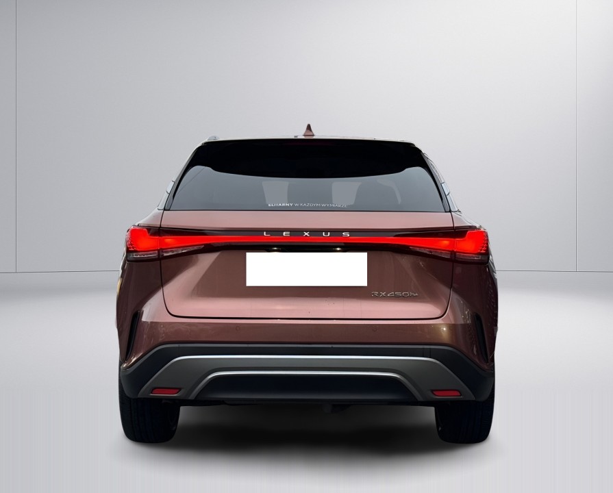 Lexus Seria RX 450h+ Omotenashi (4)