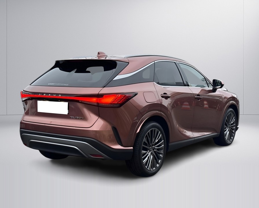 Lexus Seria RX 450h+ Omotenashi (3)
