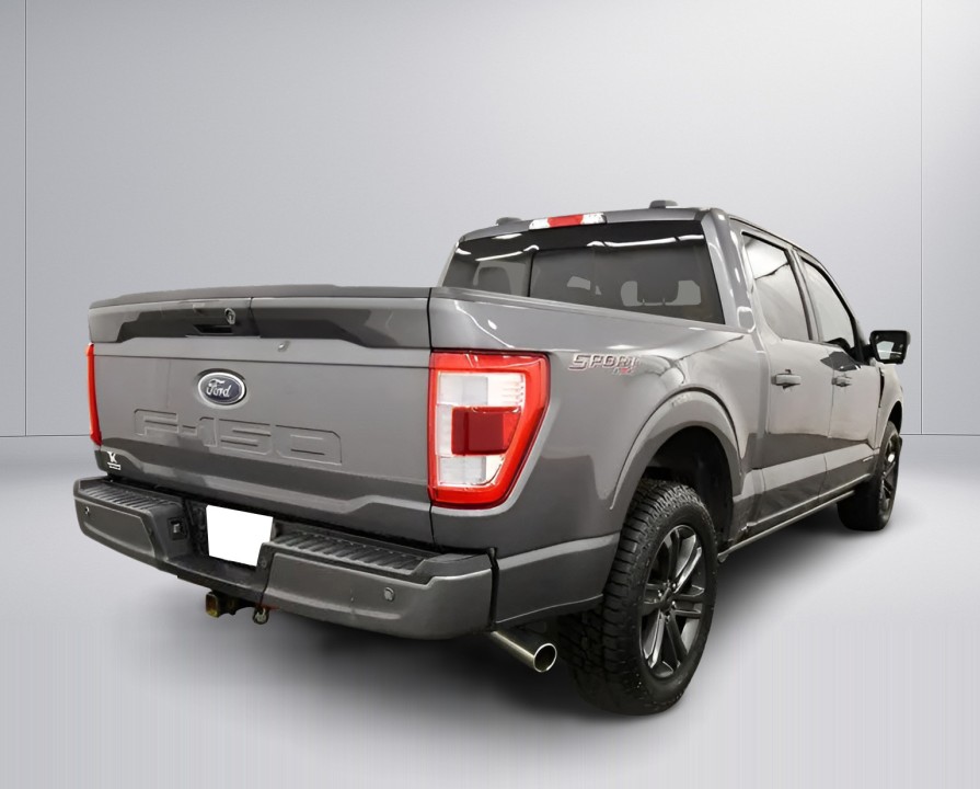 Ford F150 Lariat (3)