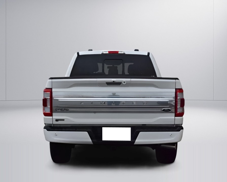 Ford F150 Limited (4)