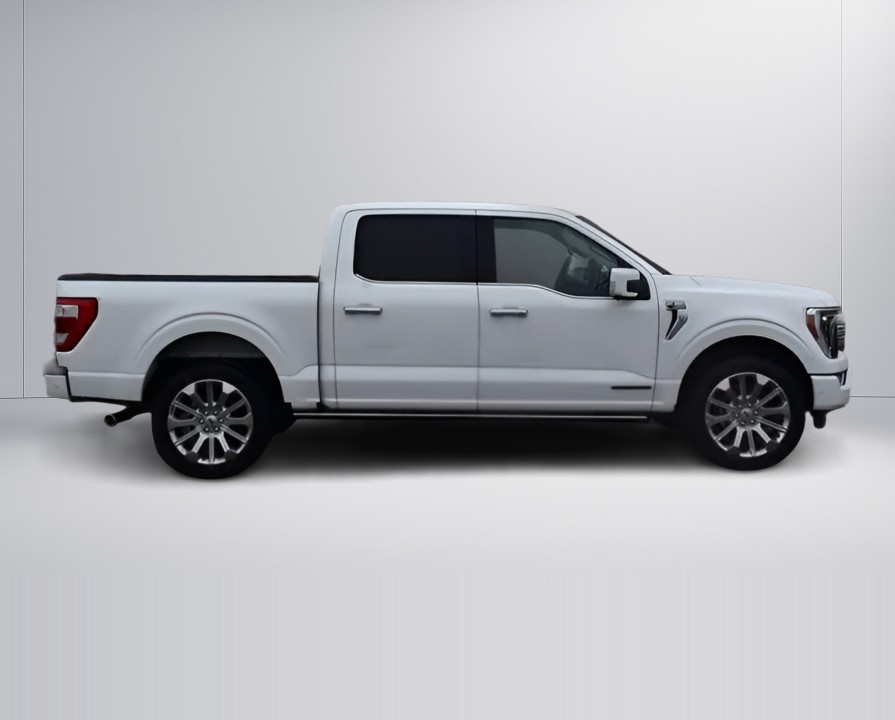 Ford F150 Limited (2)