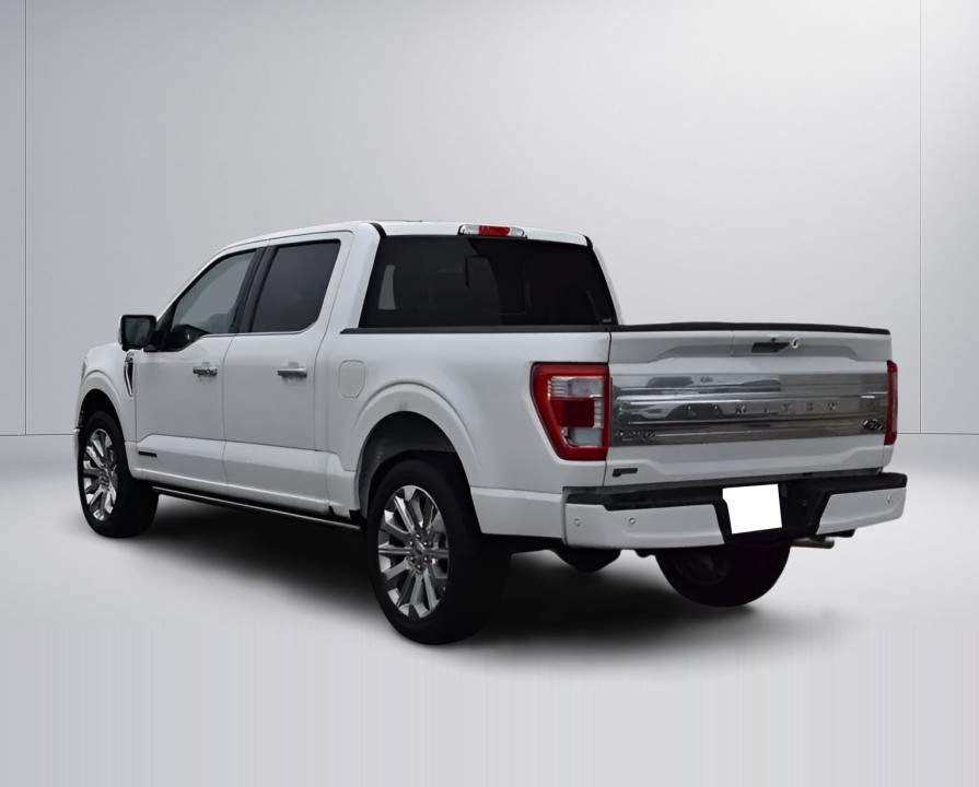 Ford F150 Limited (5)