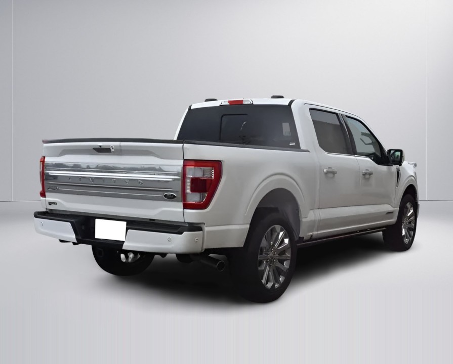 Ford F150 Limited (3)
