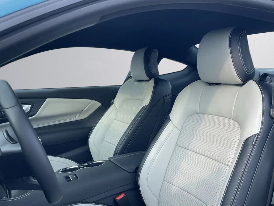 Ford Mustang - foto 18