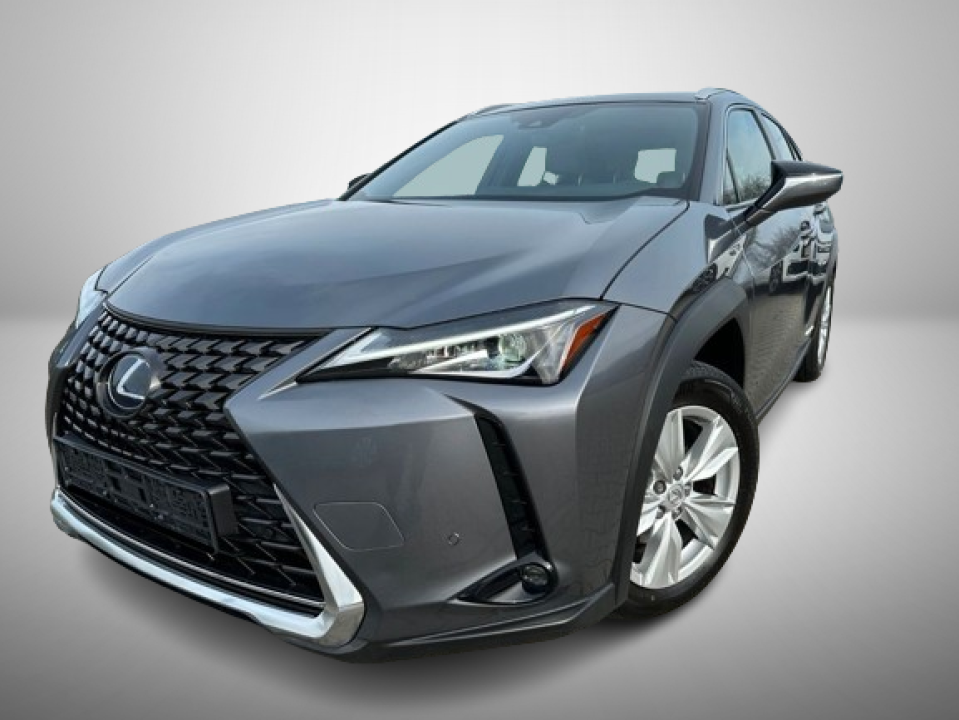 Lexus UX 250h Luxury Line (3)