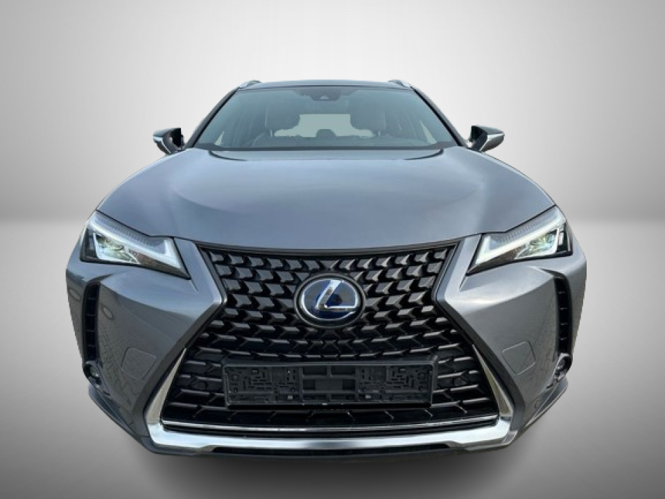 Lexus UX 250h Luxury Line (2)