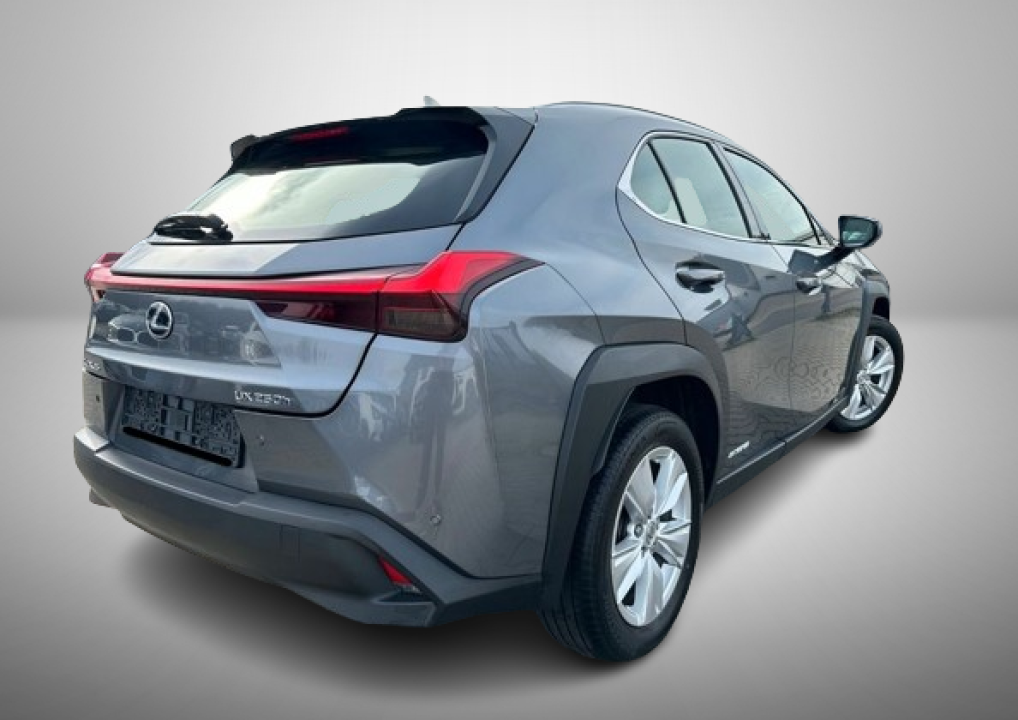 Lexus UX 250h Luxury Line (4)