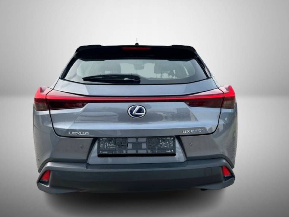 Lexus UX 250h Luxury Line (5)