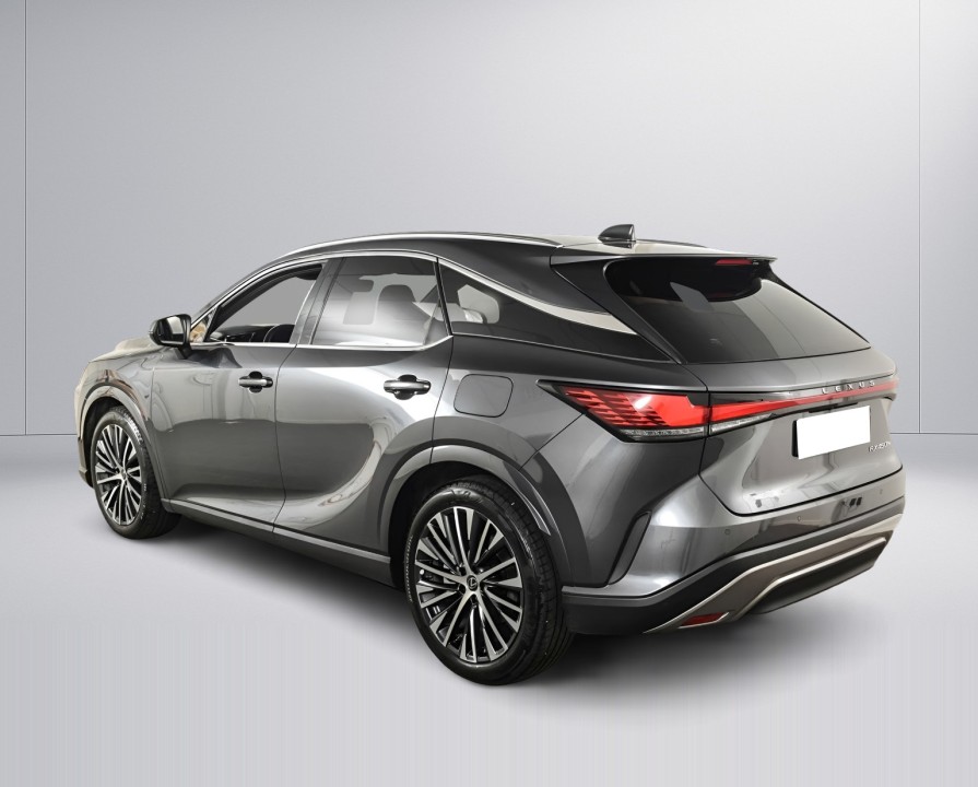 Lexus Seria RX 450h+ AWD Executive (4)