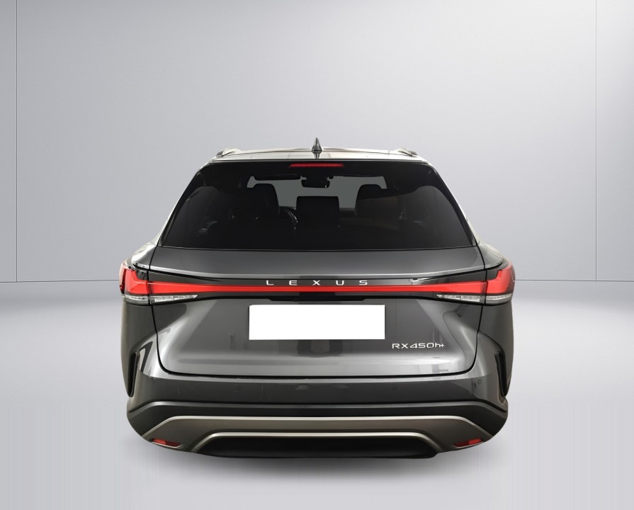 Lexus Seria RX 450h+ AWD Executive (5)