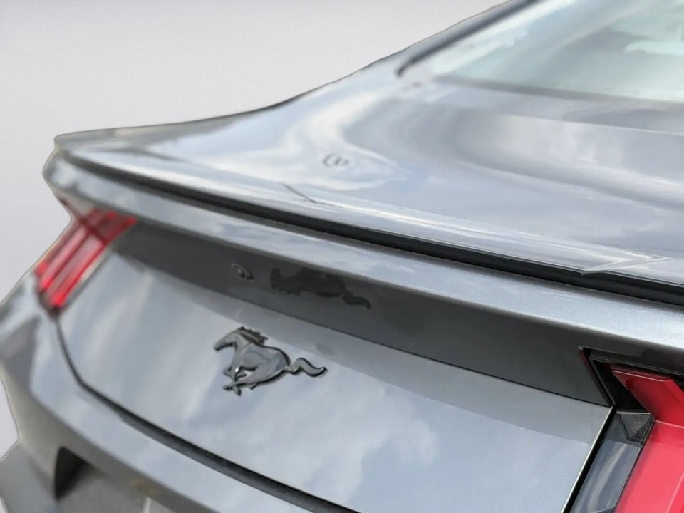 Ford Mustang - foto 21
