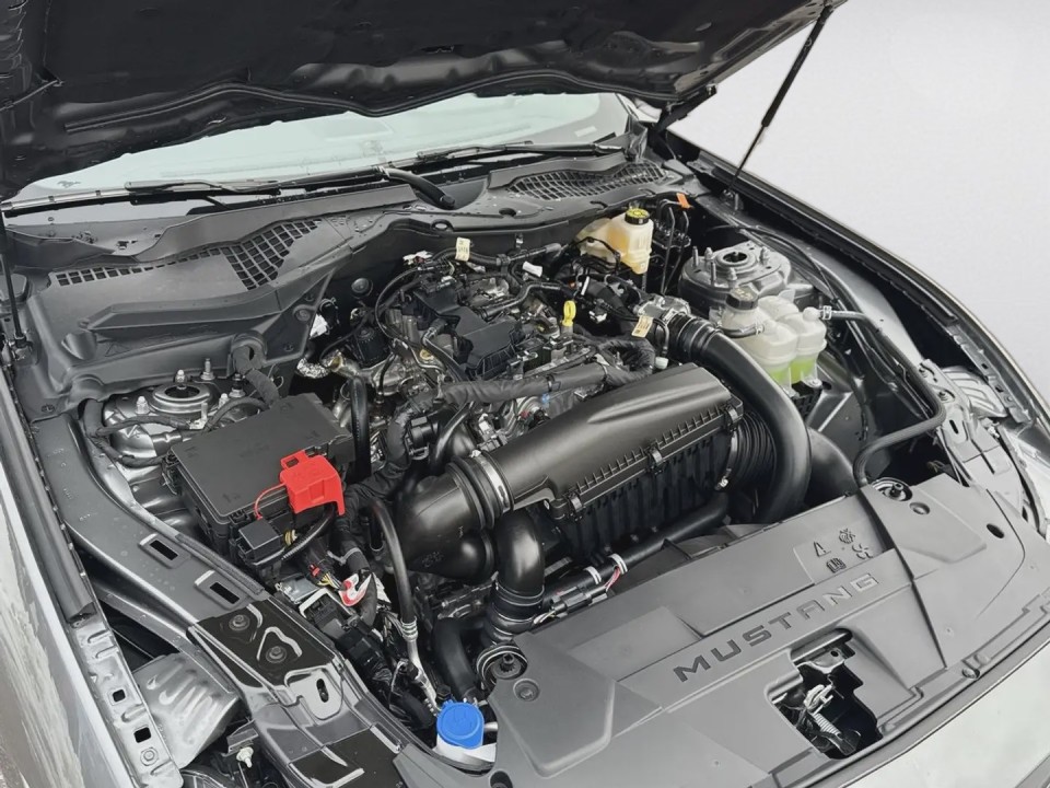 Ford Mustang - foto 29