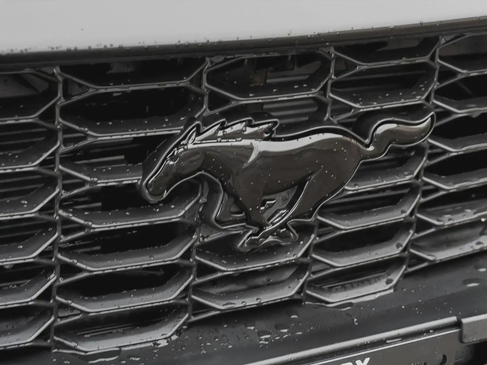 Ford Mustang - foto 20