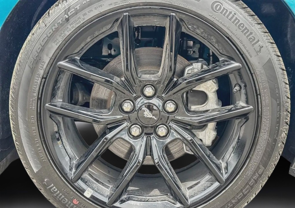 Ford Mustang - foto 24