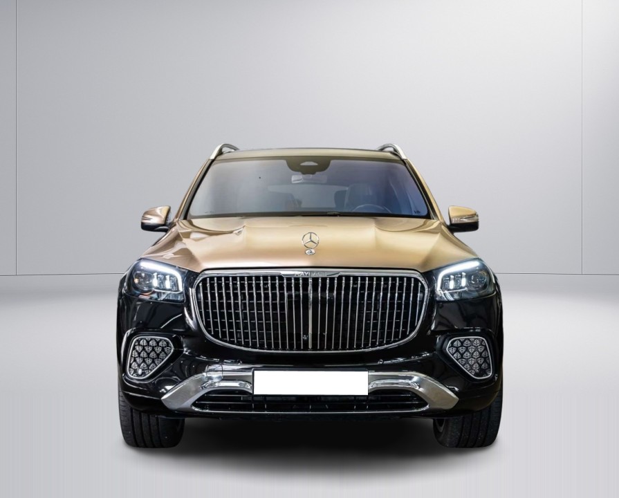 Mercedes-Benz GLS Maybach 600 - foto 8