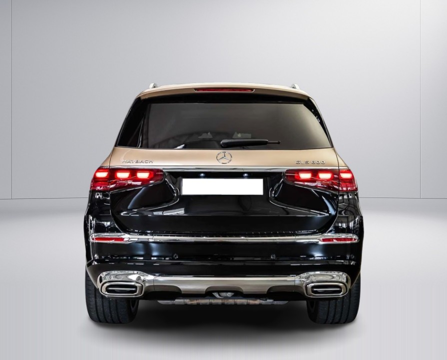 Mercedes-Benz GLS Maybach 600 (3)