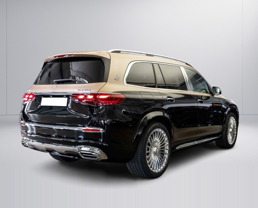 Mercedes-Benz GLS Maybach 600 (2)