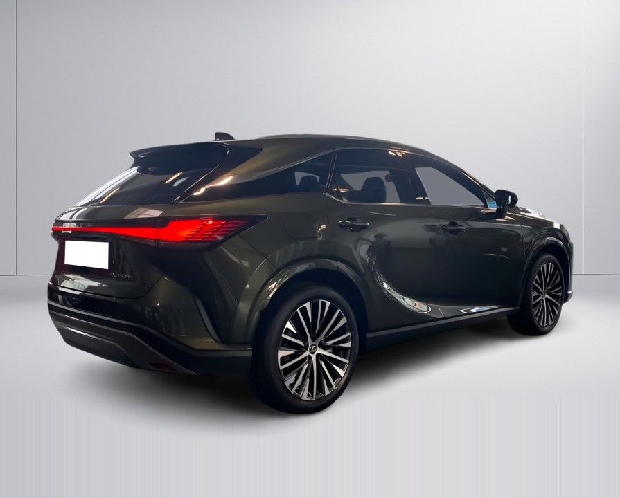 Lexus Seria RX 450h+ AWD Executive (3)