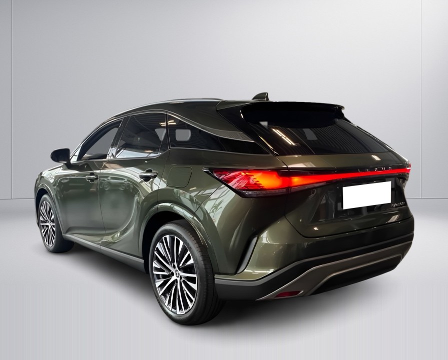 Lexus Seria RX 450h+ AWD Executive (4)