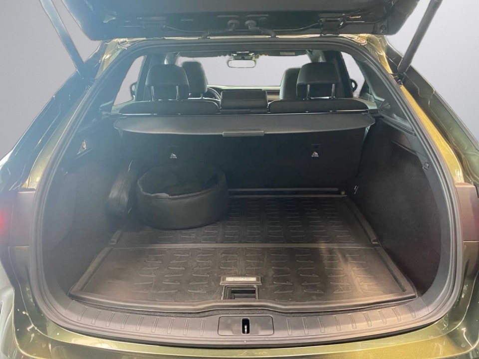 Lexus Seria RX 450h+ AWD Executive - foto 13