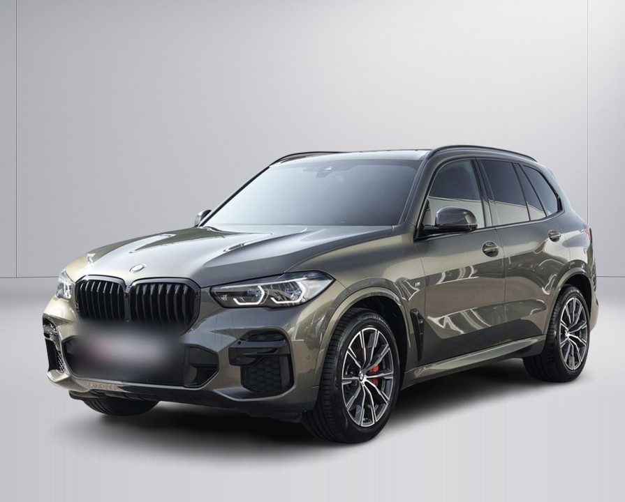 BMW X5 xDrive40d M-Sport (4)
