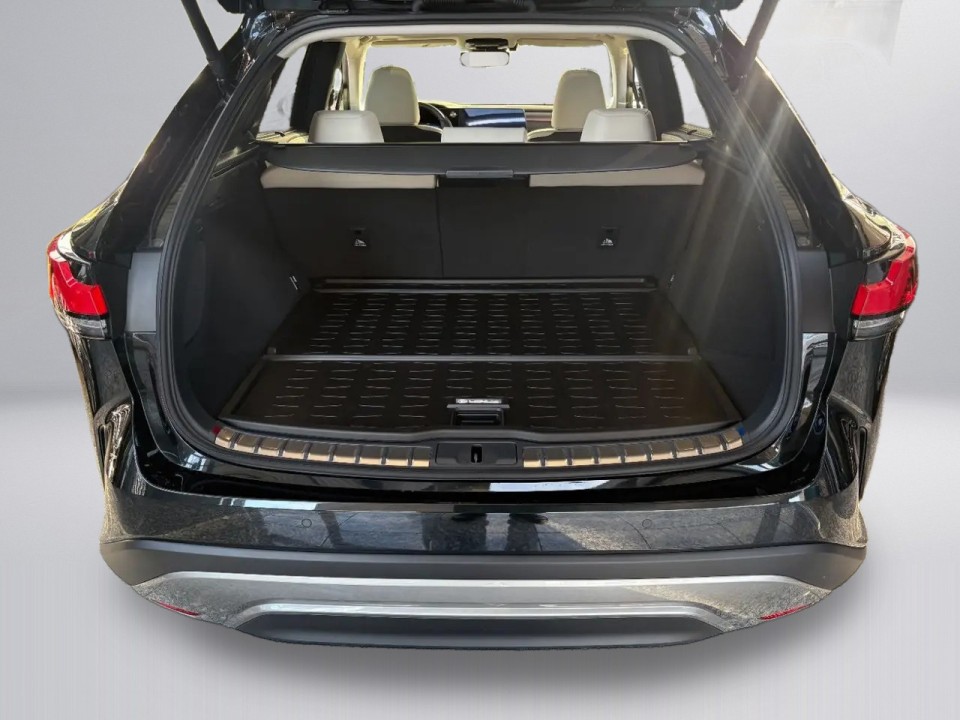 LEXUS RX 2025 — imagine 20