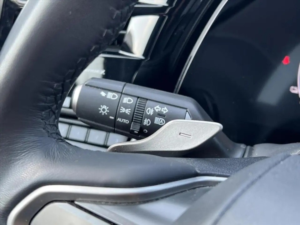 Lexus Seria RX 450h+ AWD Luxury Line - foto 16