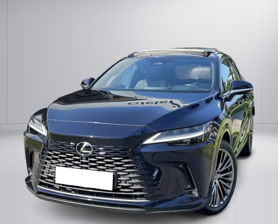 LEXUS RX 2023 — imagine 18