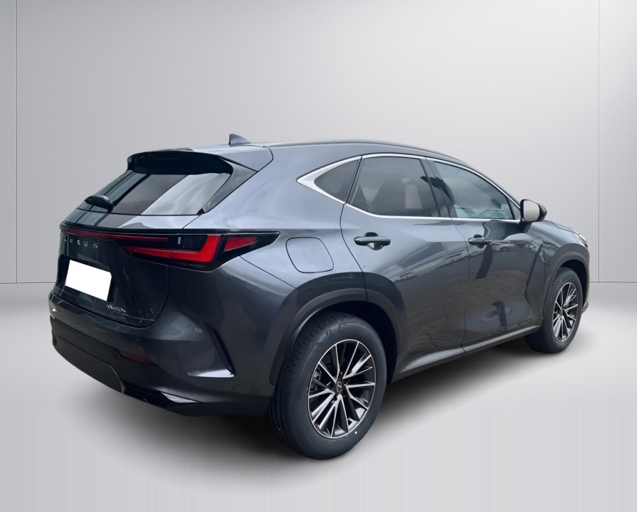 Lexus NX 450h+ Executive (3)