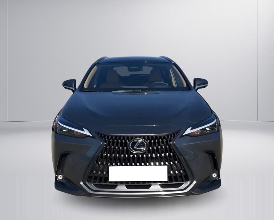 Lexus NX 450h+ Executive - foto 8