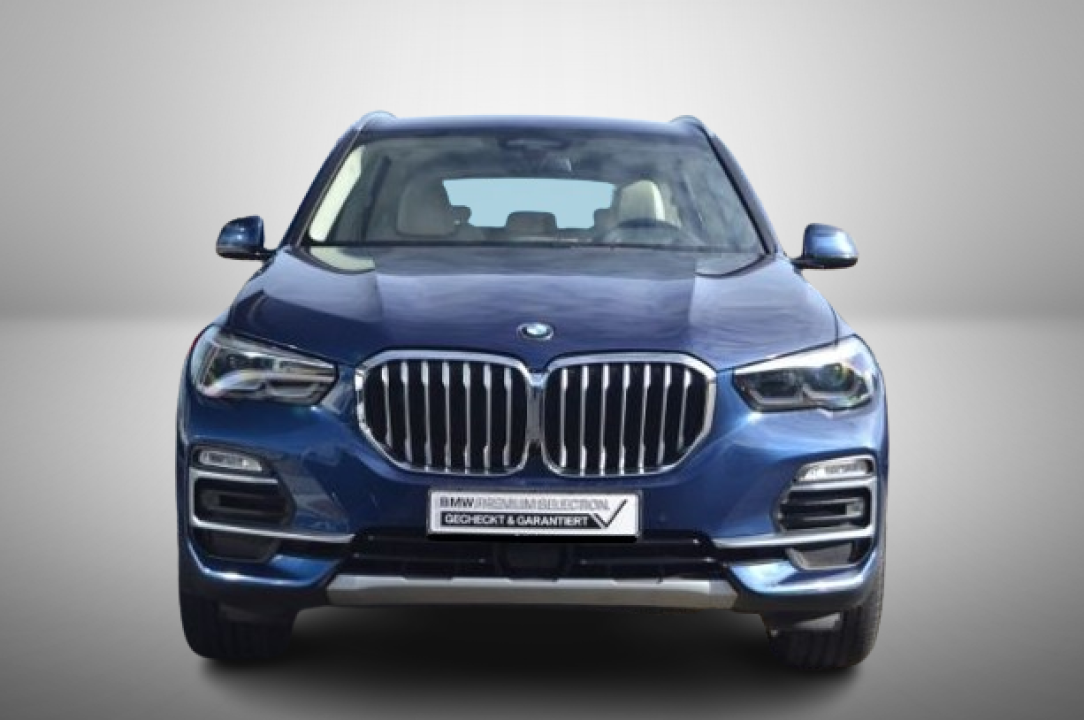 BMW X5 xDrive45e xLine (2)