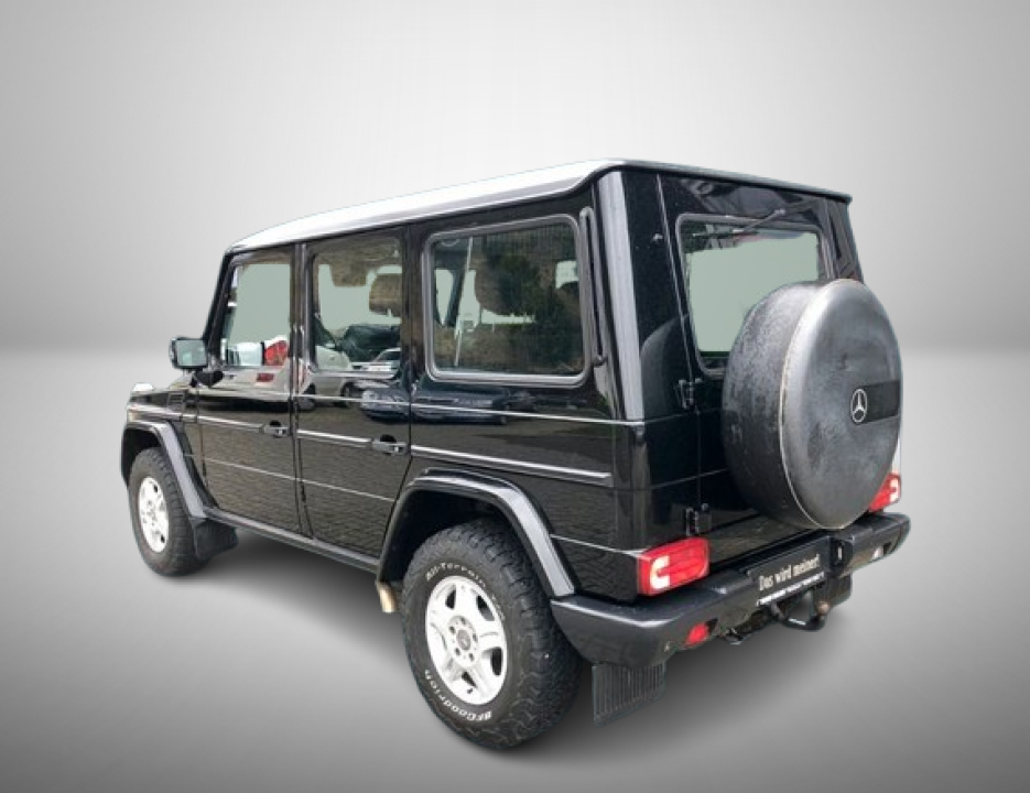 Mercedes-Benz G 350 BlueTec COMMAND (4)