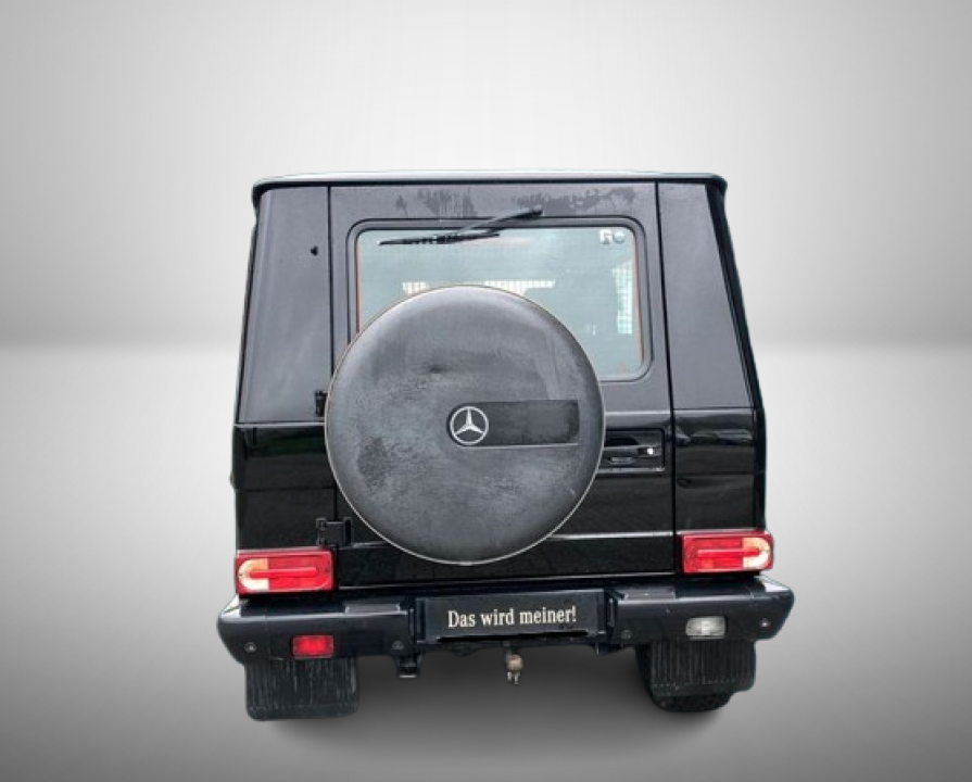 Mercedes-Benz G 350 BlueTec COMMAND (5)