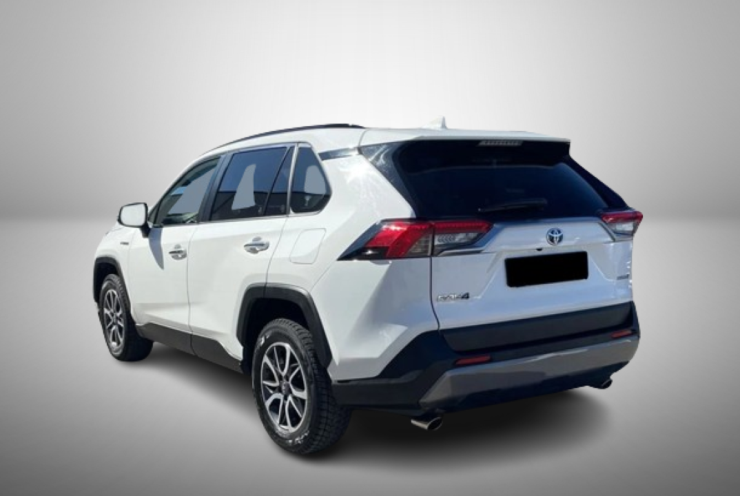 Toyota RAV4 Hybrid 2.5 AWD Executive (5)