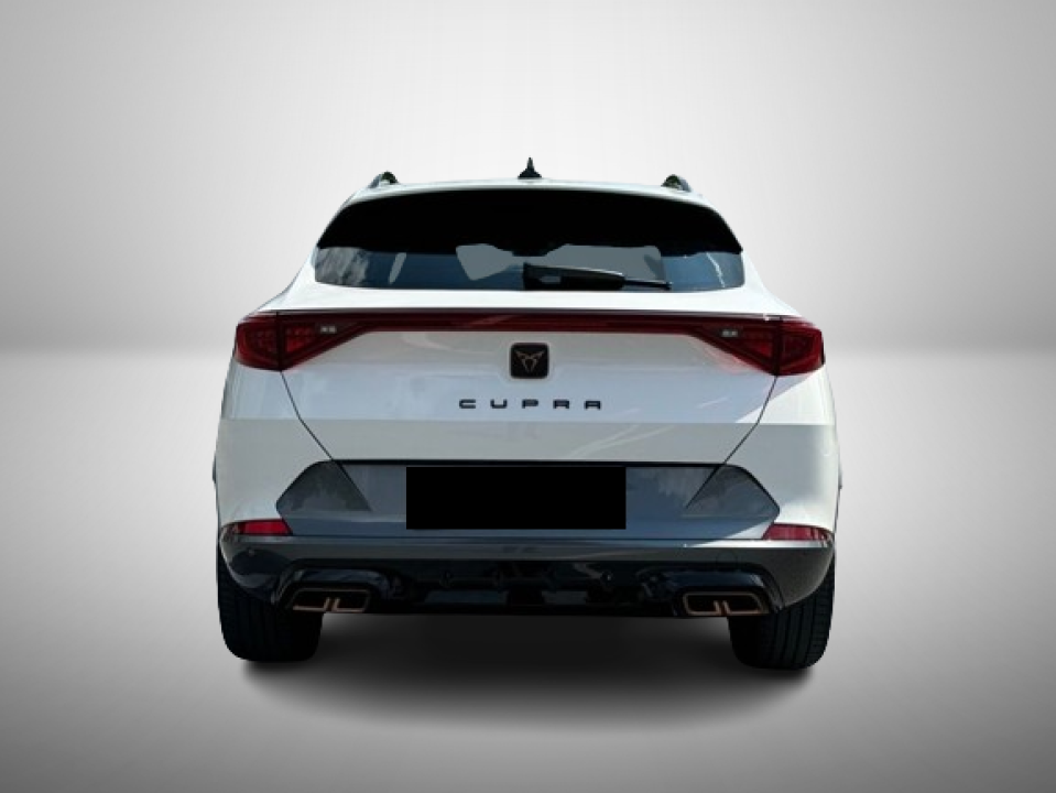 Cupra-Formentor VZ 1.4 e-Hybrid (4)