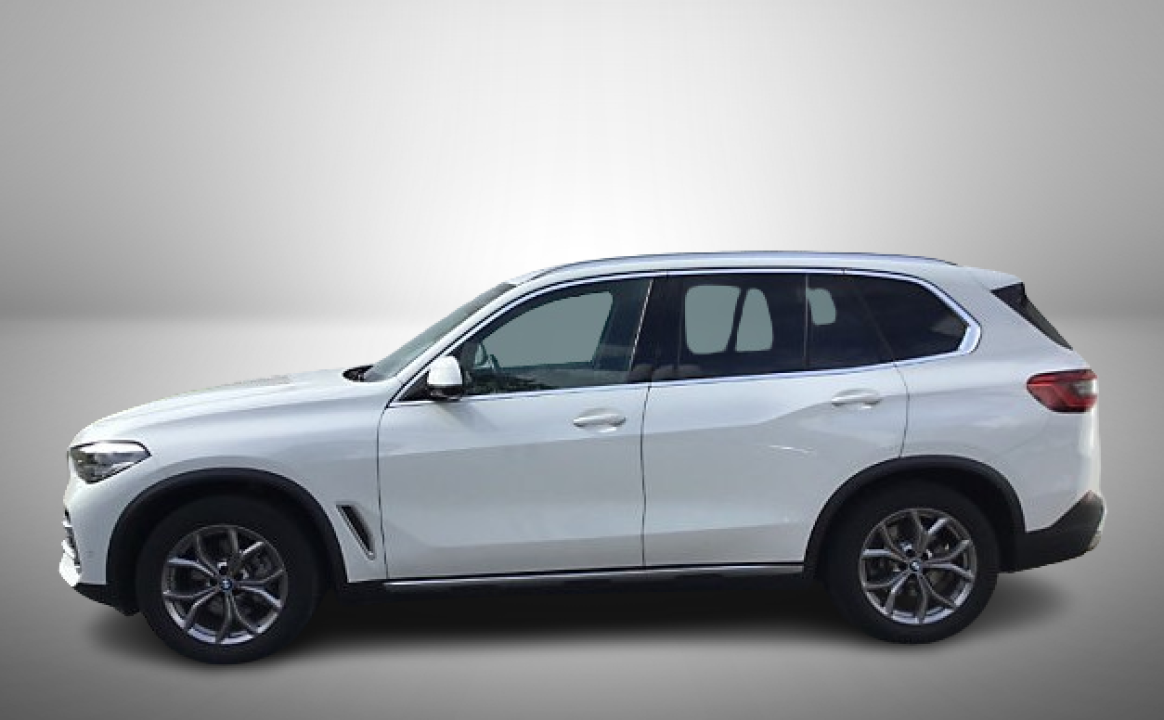 BMW X5 xDrive30d xLine (2)