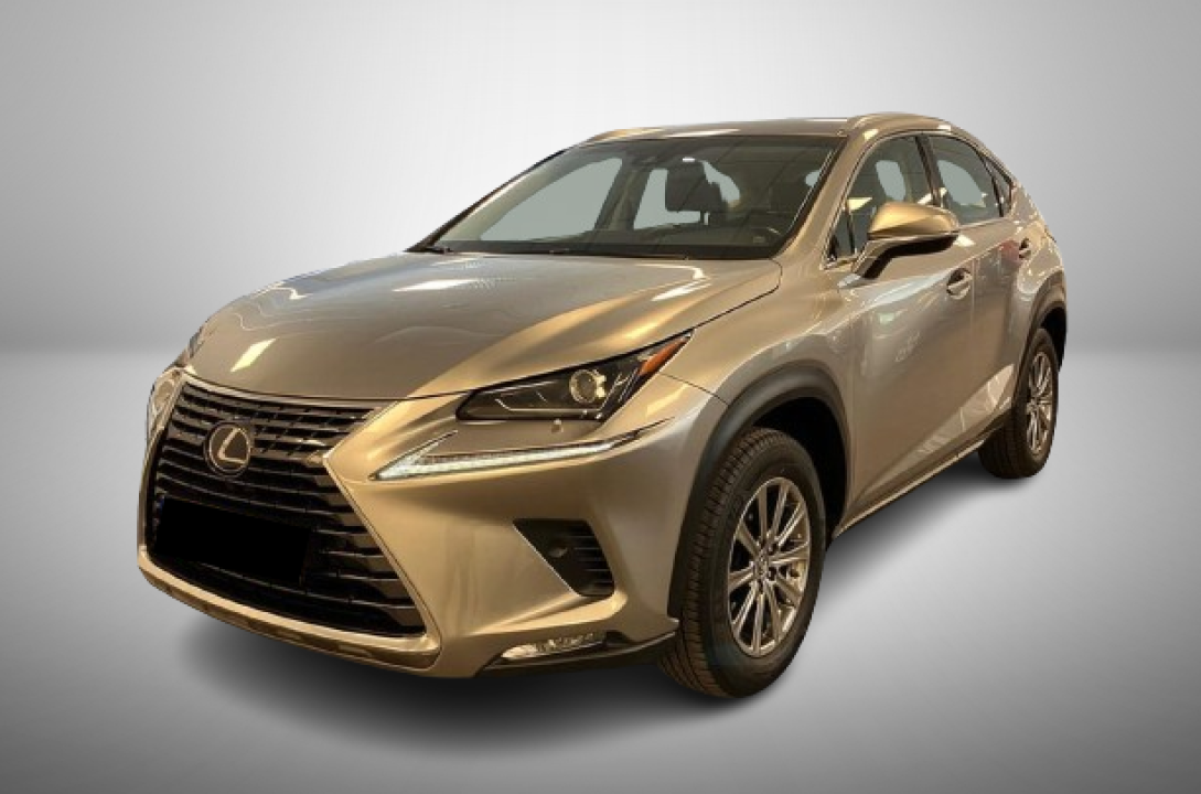 Lexus Seria NX 300h AWD Business - foto 6