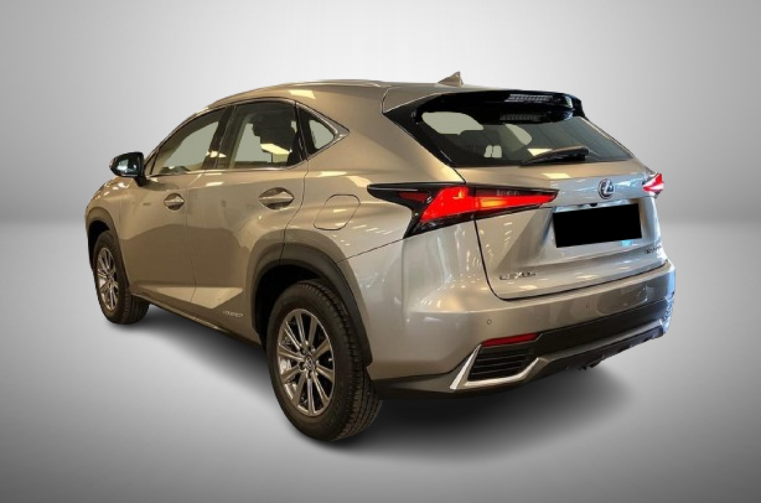 Lexus Seria NX 300h AWD Business (4)