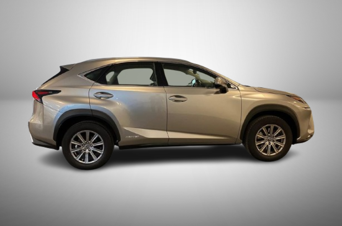 Lexus Seria NX 300h AWD Business (2)