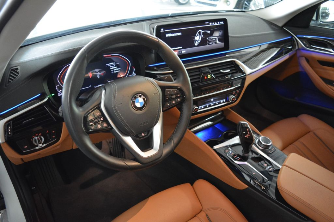 BMW Seria 5 530d xDrive Luxury (4)